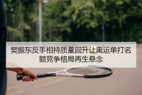 樊振东反手相持质量回升让奥运单打名额竞争格局再生悬念